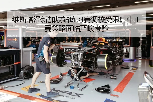 维斯塔潘新加坡站练习赛调校受限红牛正赛策略面临严峻考验 - yaxin868.comapp